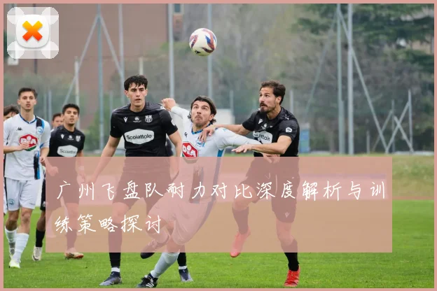 广州飞盘队耐力对比深度解析与训练策略探讨